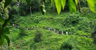 Preserving Paradise: The Rise of Ecotourism and Sustainable Travel